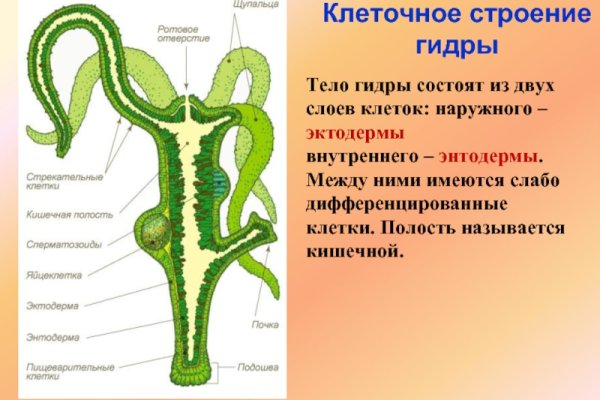 Кракен не работает сайт