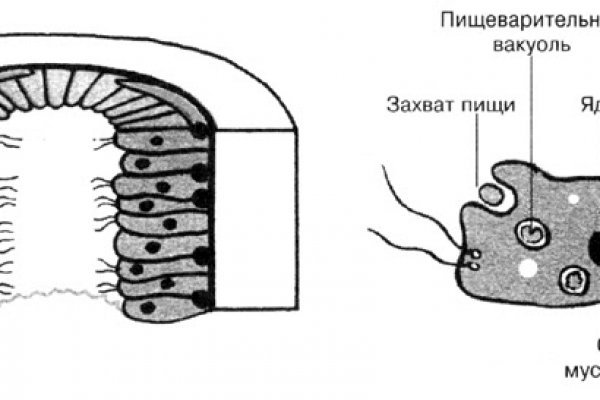 Регистрация на сайте кракен