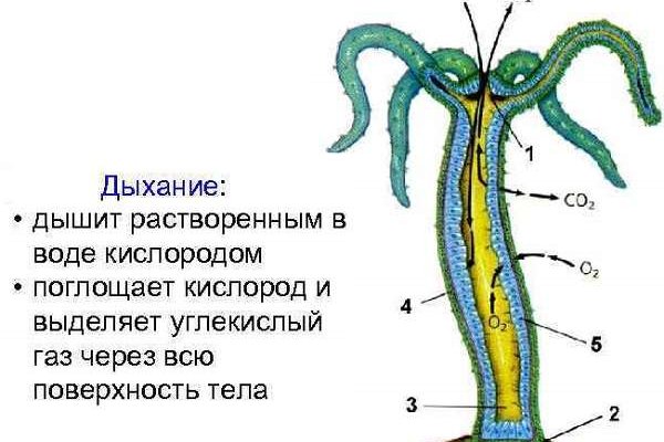 Как войти в кракен